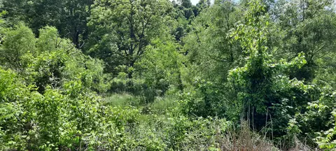 0 229barbourville Rd, Barbourville, KY 40906