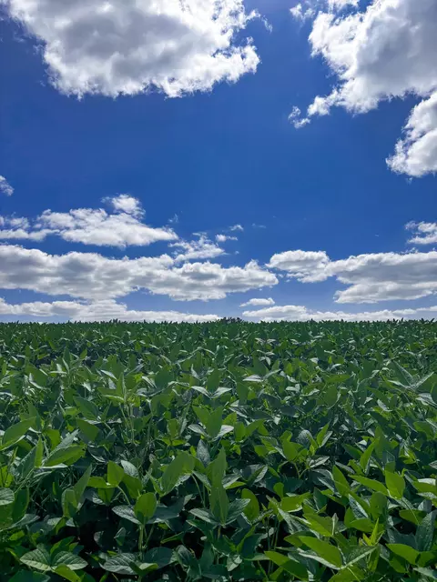 0 Concrete Rd, Carlisle, KY 40311
