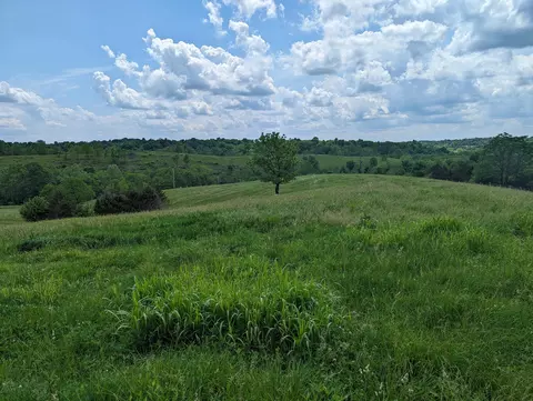 1005 Alford Rd, Salvisa, KY 40372