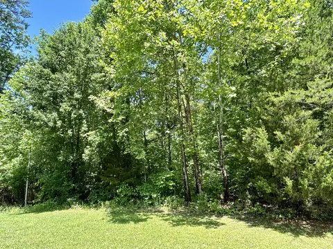 2780 Roberts Bend Rd, Burnside, KY 42519 photo 5