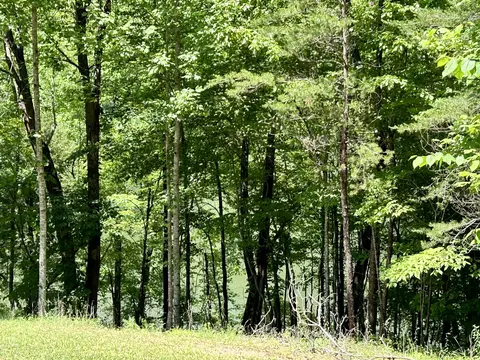 2780 Roberts Bend Rd, Burnside, KY 42519 photo 6