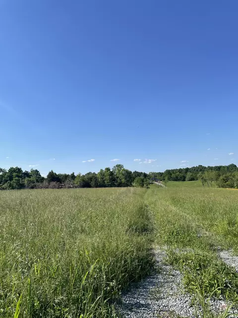65 Ac Poplar Plains Rd, Flemingsburg, KY 41041