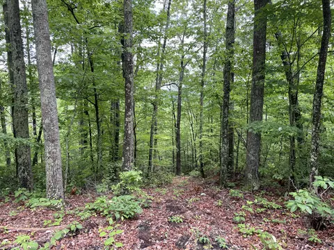 831 Heavenly Ln, Frenchburg, KY 40322