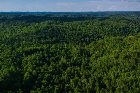 1 Mountain Springs Rd, Stanton, KY 40380