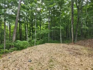109 Cherokee Trl, Nancy, KY 42544 photo 6