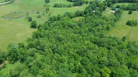 1433 Tower Rd, Corbin, KY 40701 photo 3
