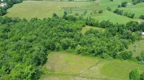 1433 Tower Rd, Corbin, KY 40701 photo 6