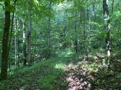 0000 Ky 1044, Pine Knot, KY 42635