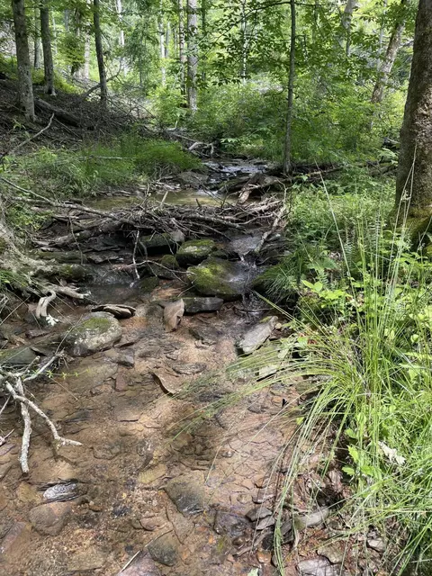 34671 Kentucky 80, Somerset, KY 42503