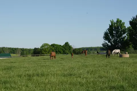 1275 Spring Sta, Midway, KY 40347