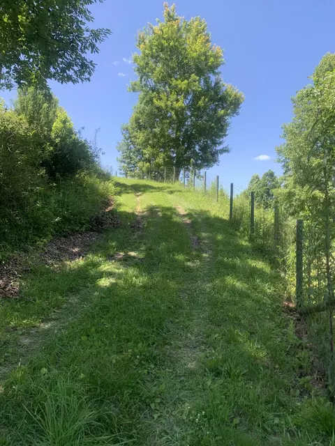9999 Big Barn Rd, Tyner, KY 40486 photo 6