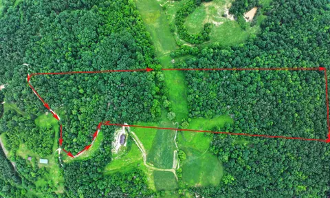 9999 Zion Mountain Rd, Irvine, KY 40336