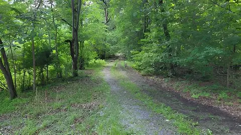 3028 Riley Hollow Rd, Cadiz, KY 42211