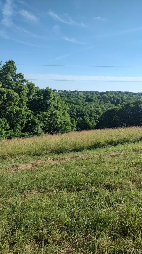 305 Mount Moriah Rd, Carlisle, KY 40311