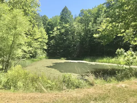 Other - 664 Walker Branch Rd, Morehead, KY 40351 photo 5 of 7