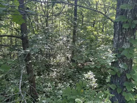 lot22 Sandstone Pt, Monticello, KY 42633