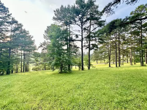 2 Edward Ct, Corbin, KY 40701 photo 9