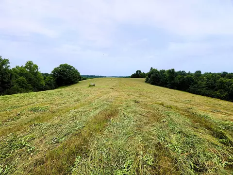 tbd Bobtown Rd, Carlisle, KY 40311