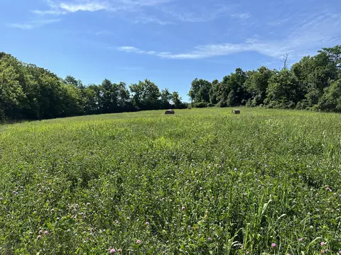 2 Shadynook Pike, Cynthiana, KY 41031