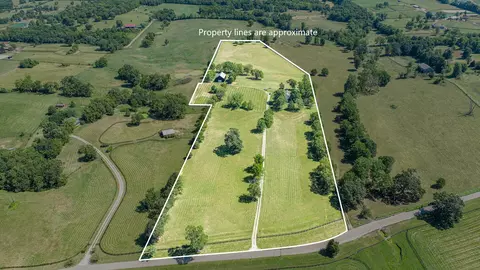 858 Carrick Pike, Georgetown, KY 40324 photo 3