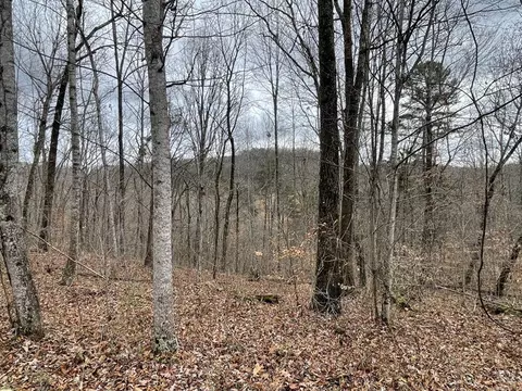 lot20 Haynes Knob Rd, Somerset, KY 42501
