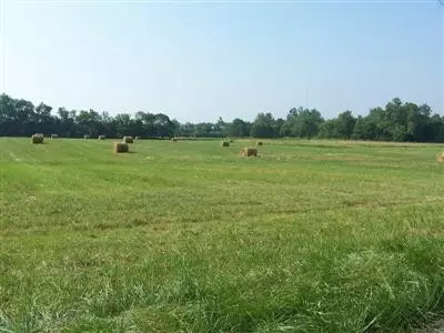 1901 Royster Rd, Lexington, KY 40516
