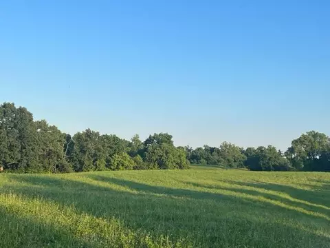 2061 Ky Hwy 62 E, Mount Olivet, KY 41064