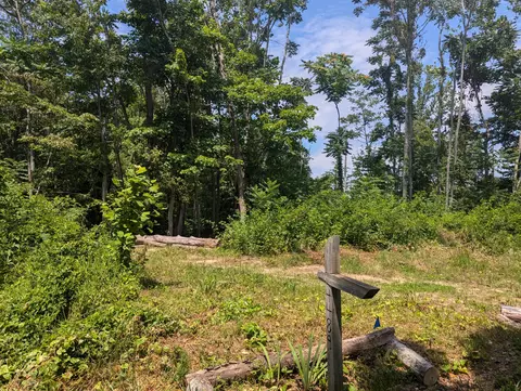 4489 Chestnut Flat Rd, Mckee, KY 40447