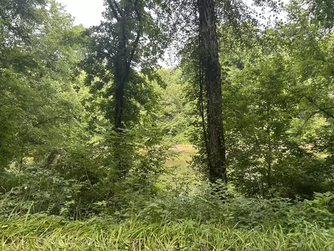 00 Tbd River Rd, Booneville, KY 41314