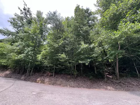 89 Branch Connector Rd, Flat Lick, KY 40935 photo 3