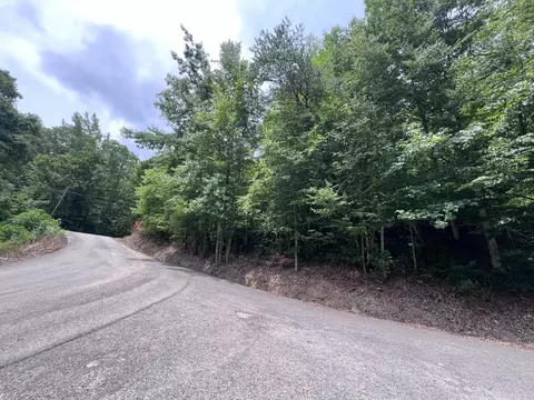 89 Branch Connector Rd, Flat Lick, KY 40935 photo 4