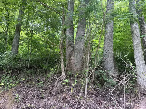 89 Branch Connector Rd, Flat Lick, KY 40935 photo 2