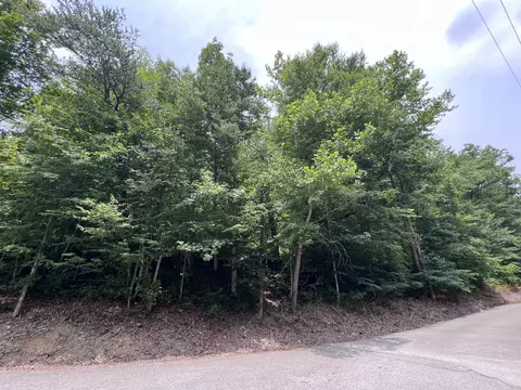 89 Branch Connector Rd, Flat Lick, KY 40935
