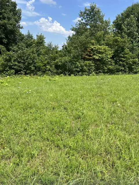 lot Serenity, Nancy, KY 42544 photo 2