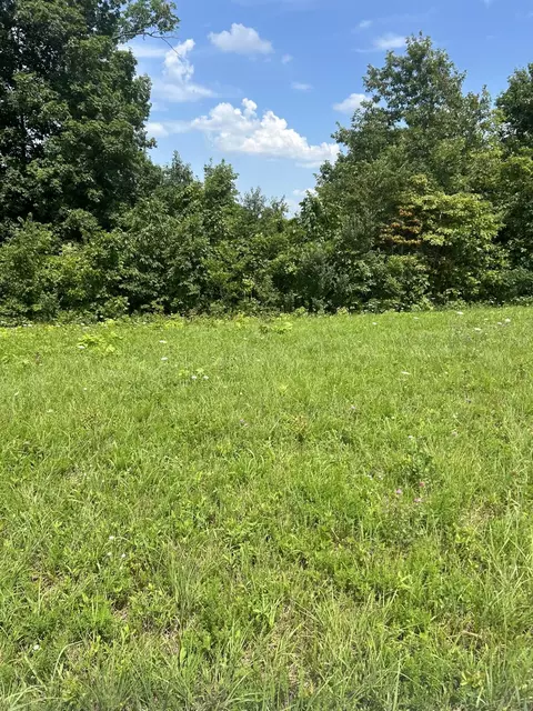 lot Serenity, Nancy, KY 42544 photo 3