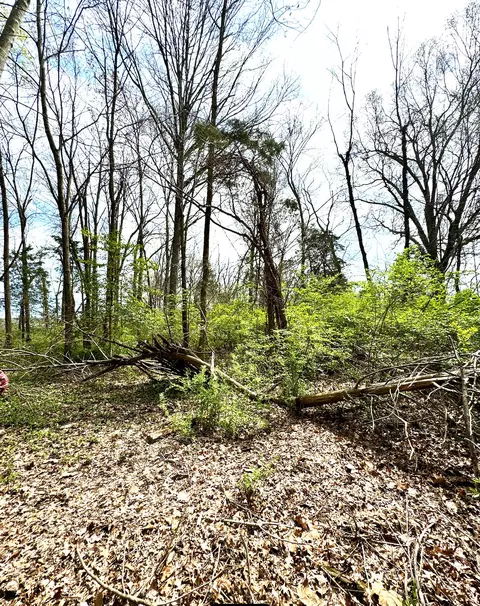 Undisclosed, Berea, KY 40403 photo 18