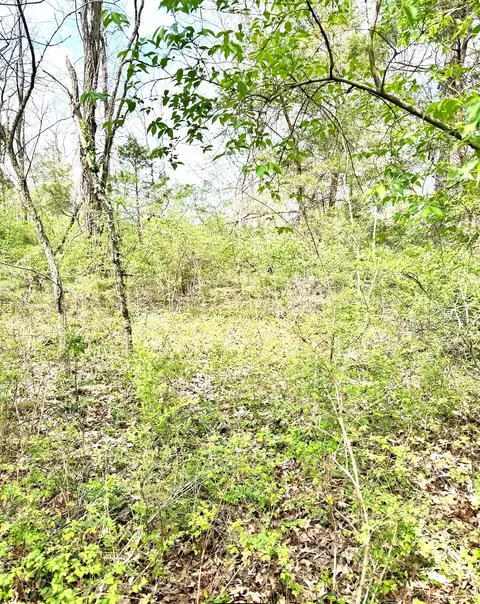 Undisclosed, Berea, KY 40403 photo 19
