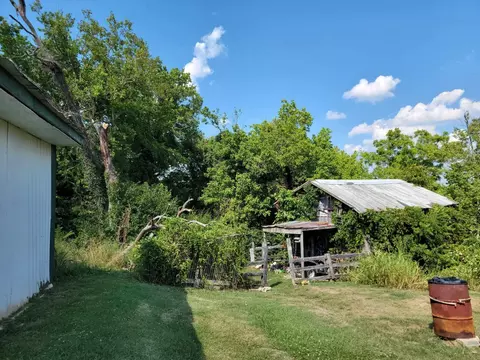 Exterior - 159 E Walnut St, Mount Olivet, KY 41064 photo 10 of 13