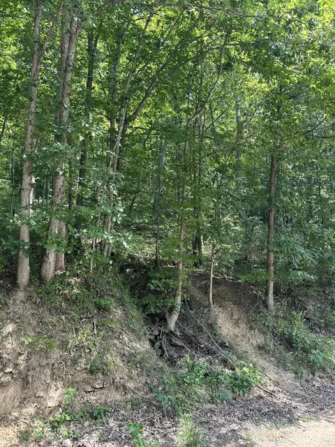 0 Collins Fork Rd, Manchester, KY 40962