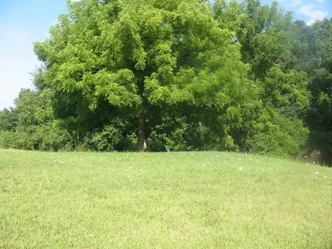 1492 Marydell Rd, London, KY 40741