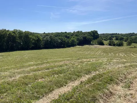 642 Creekside Farms Dr, Cynthiana, KY 41031