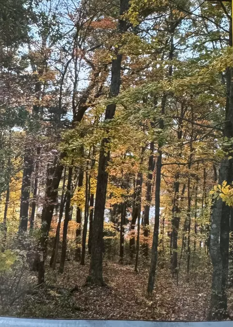 143 Overlook Trl, Nancy, KY 42544 photo 37