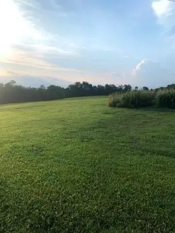 383 Dillon Ln # B, Ewing, KY 41039