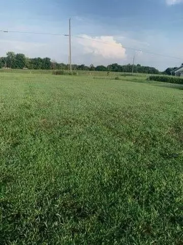383 Dillon Ln # B, Ewing, KY 41039 photo 8