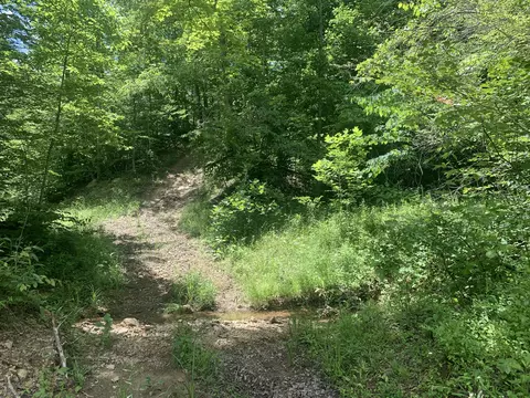 24 Acres Fleming Frk, Olive Hill, KY 41164