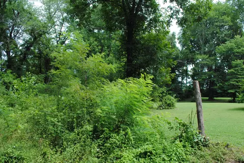 APT #Collins Lane, Eubank, KY 42567