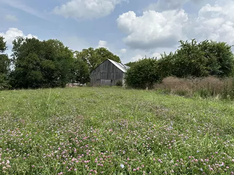 1099 Lloyd Rd, Georgetown, KY 40324 photo 6