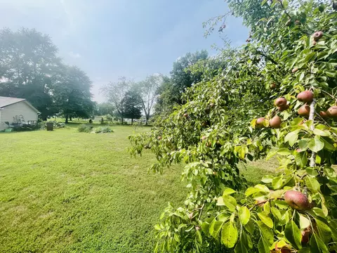 450 Sandidge Rd, Eubank, KY 42567 photo 37