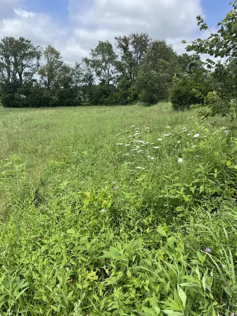 9999 Rick Dr, Owingsville, KY 40360