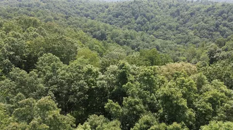 0 Richmond Rd, Emerson, KY 41135